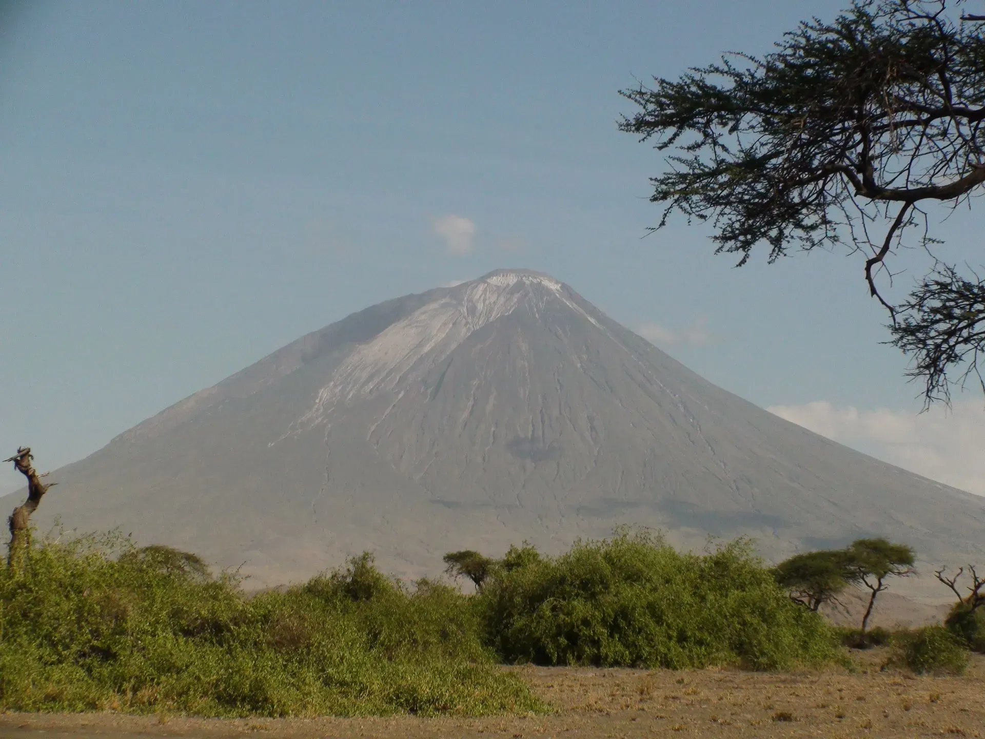 Mount Kilimanjaro with a tree in the background, surrounded by a clear sky and soft clouds.