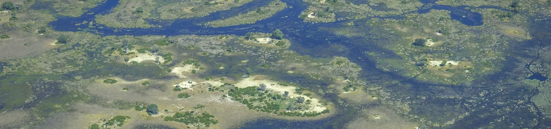 HFA blog into the okavango banner