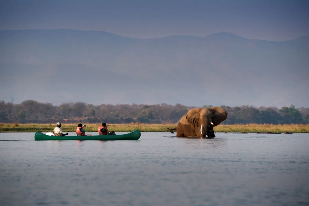 Zambezi expeditions Mana pools canoe safari