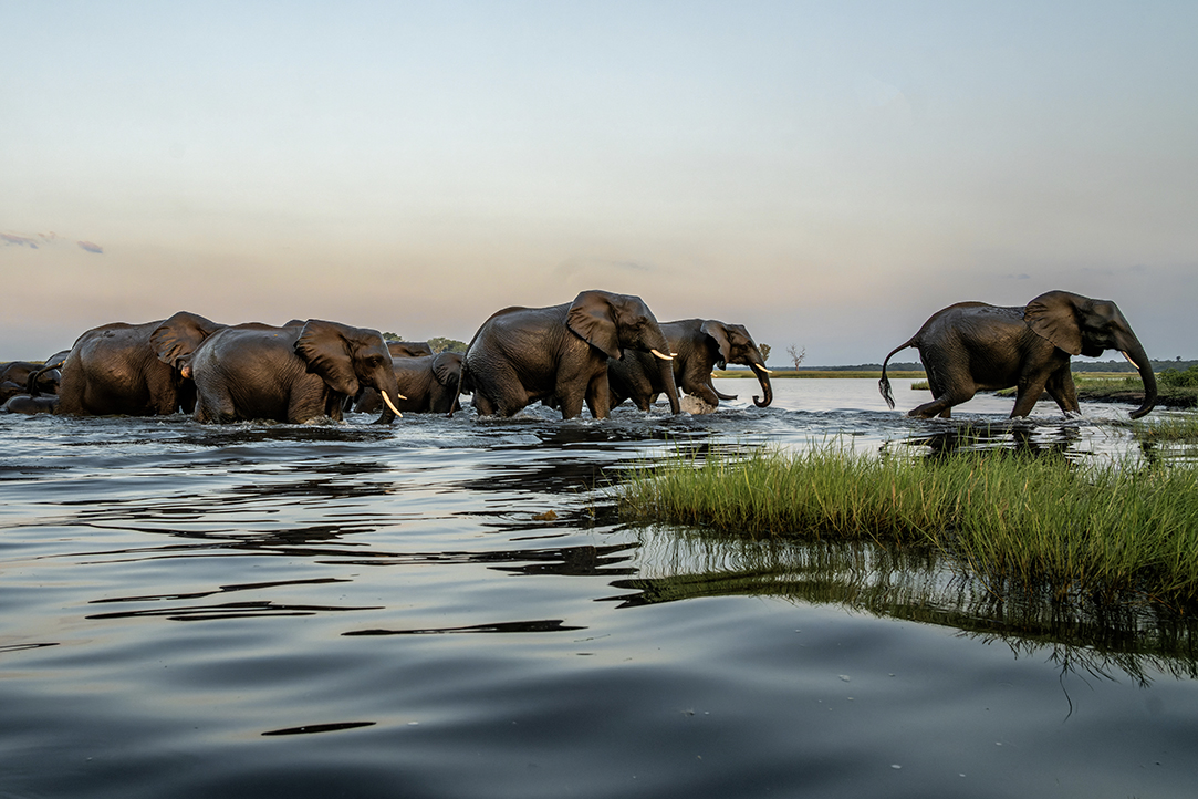 HFA Website Destination Single Page