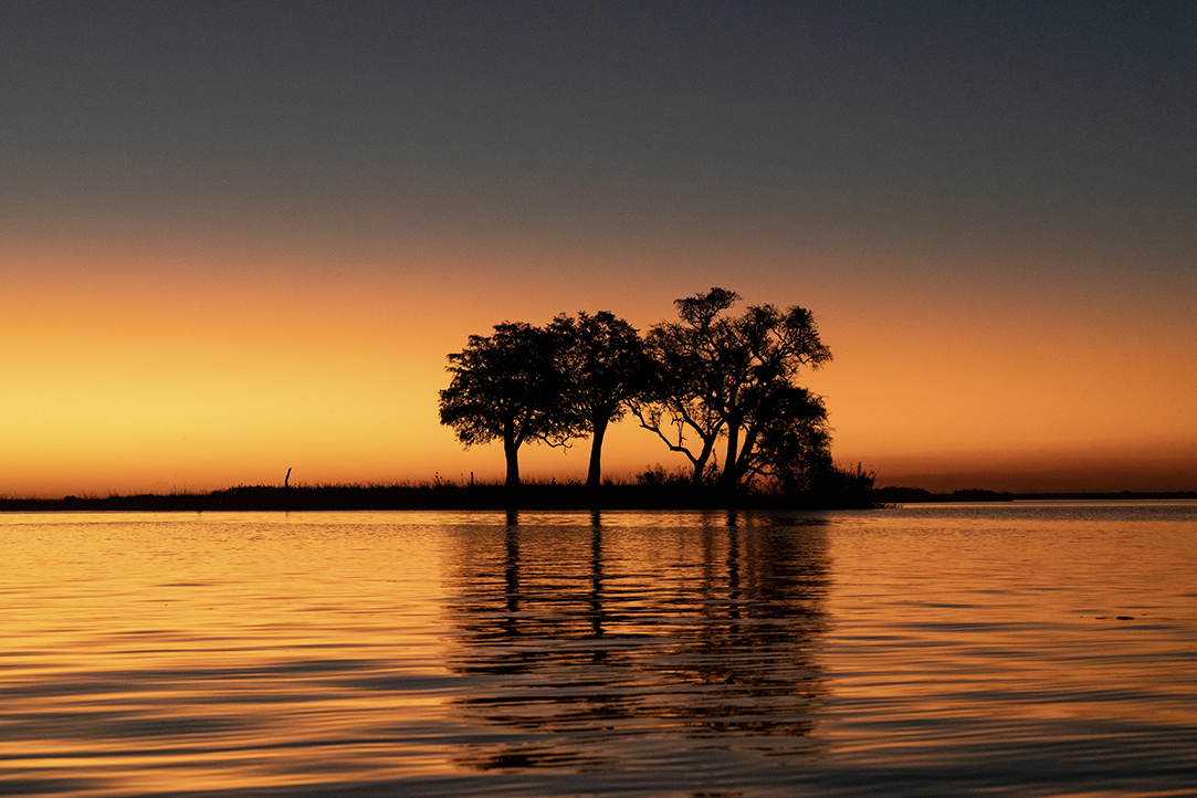 HFA Website Destination Single Page