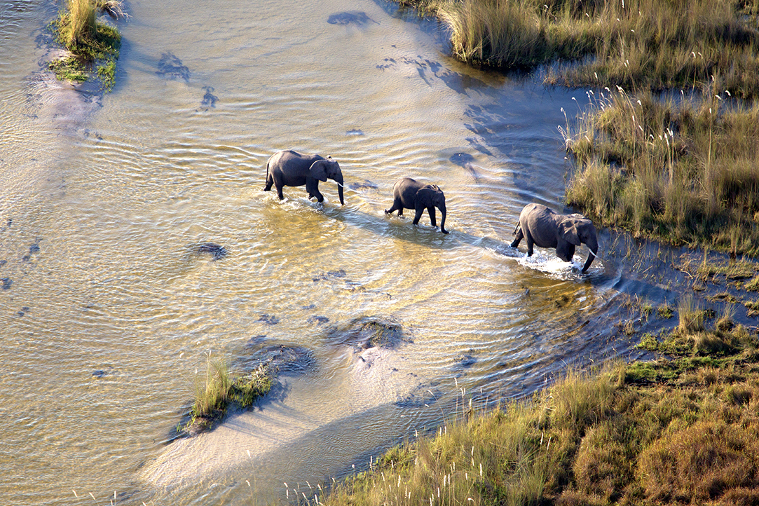 HFA Website Destination Single Page