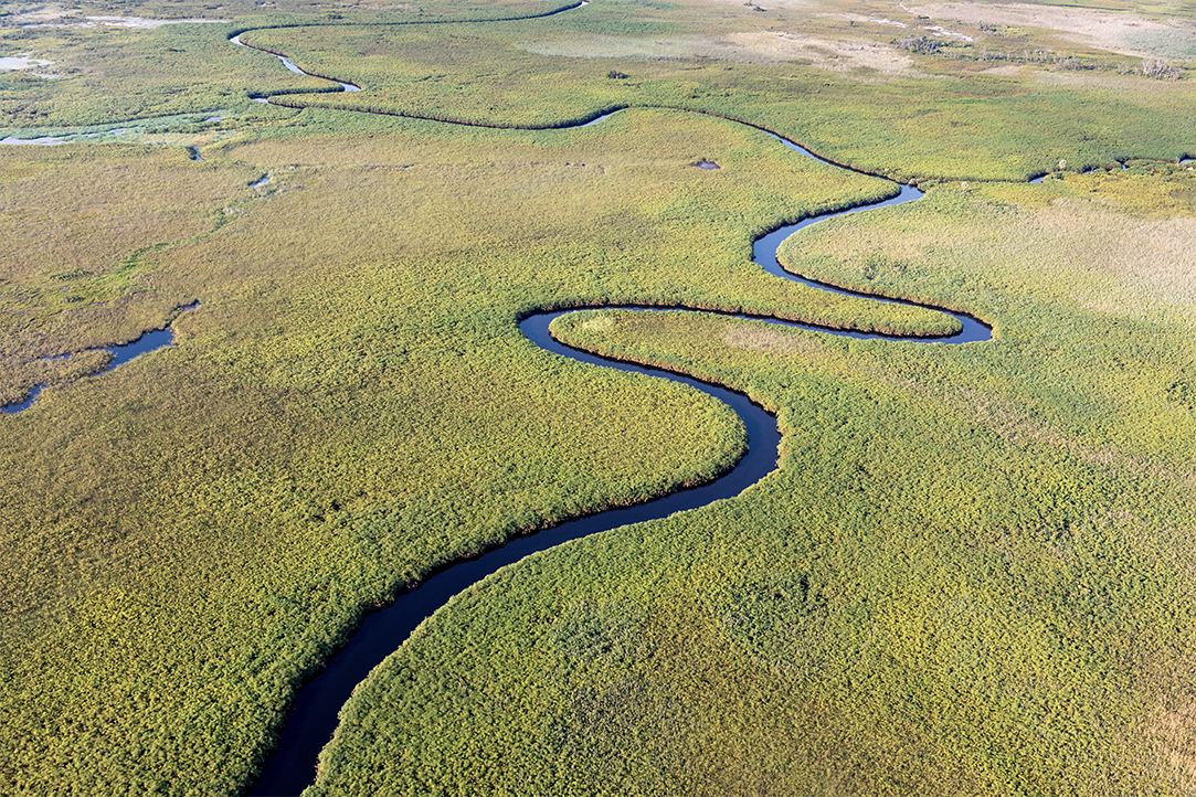 HFA Website Destination Single Page