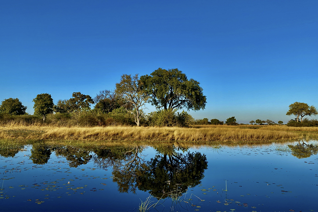 HFA Website Destination Single Page