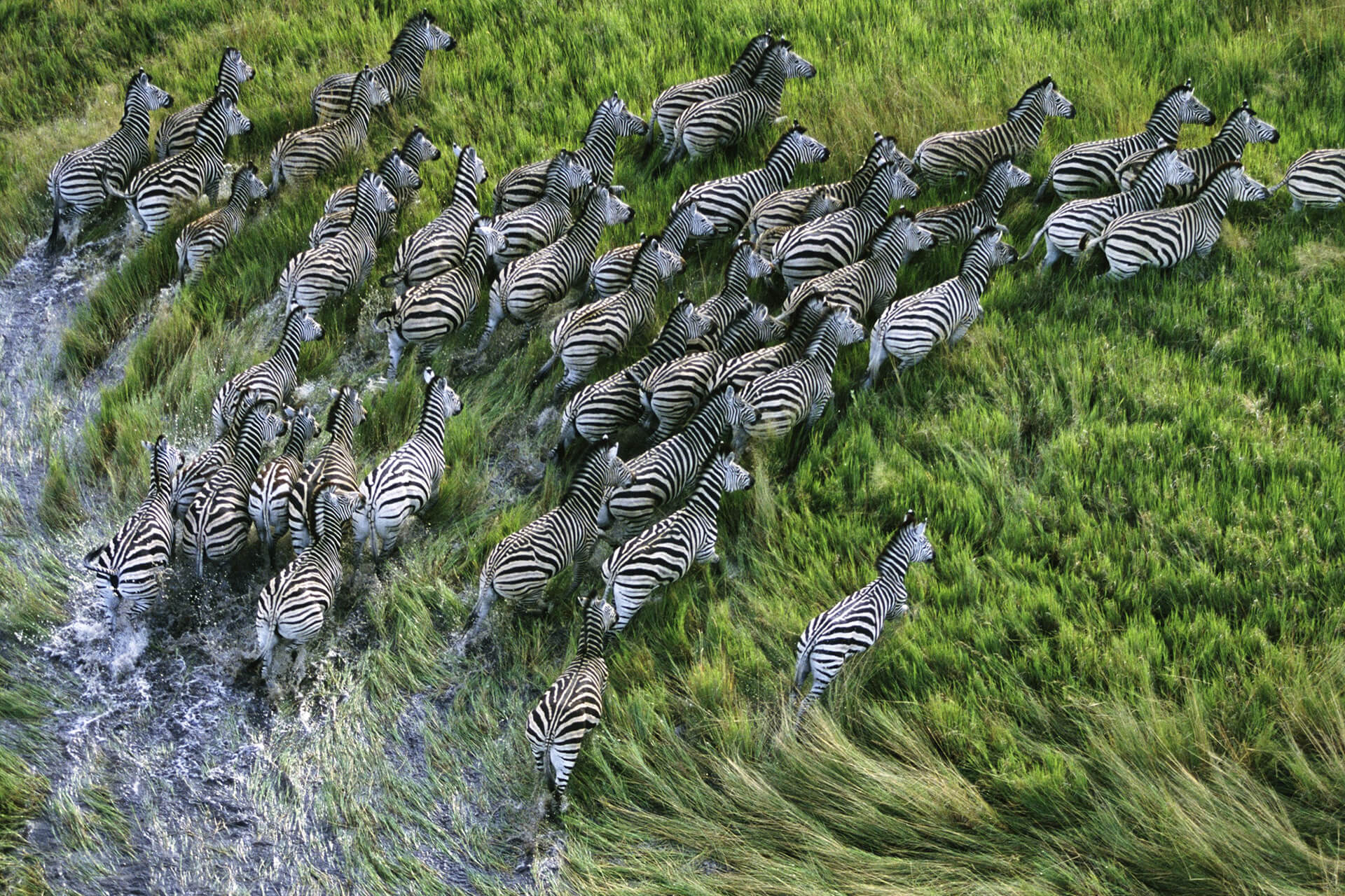 botwana-header-img_0002_03