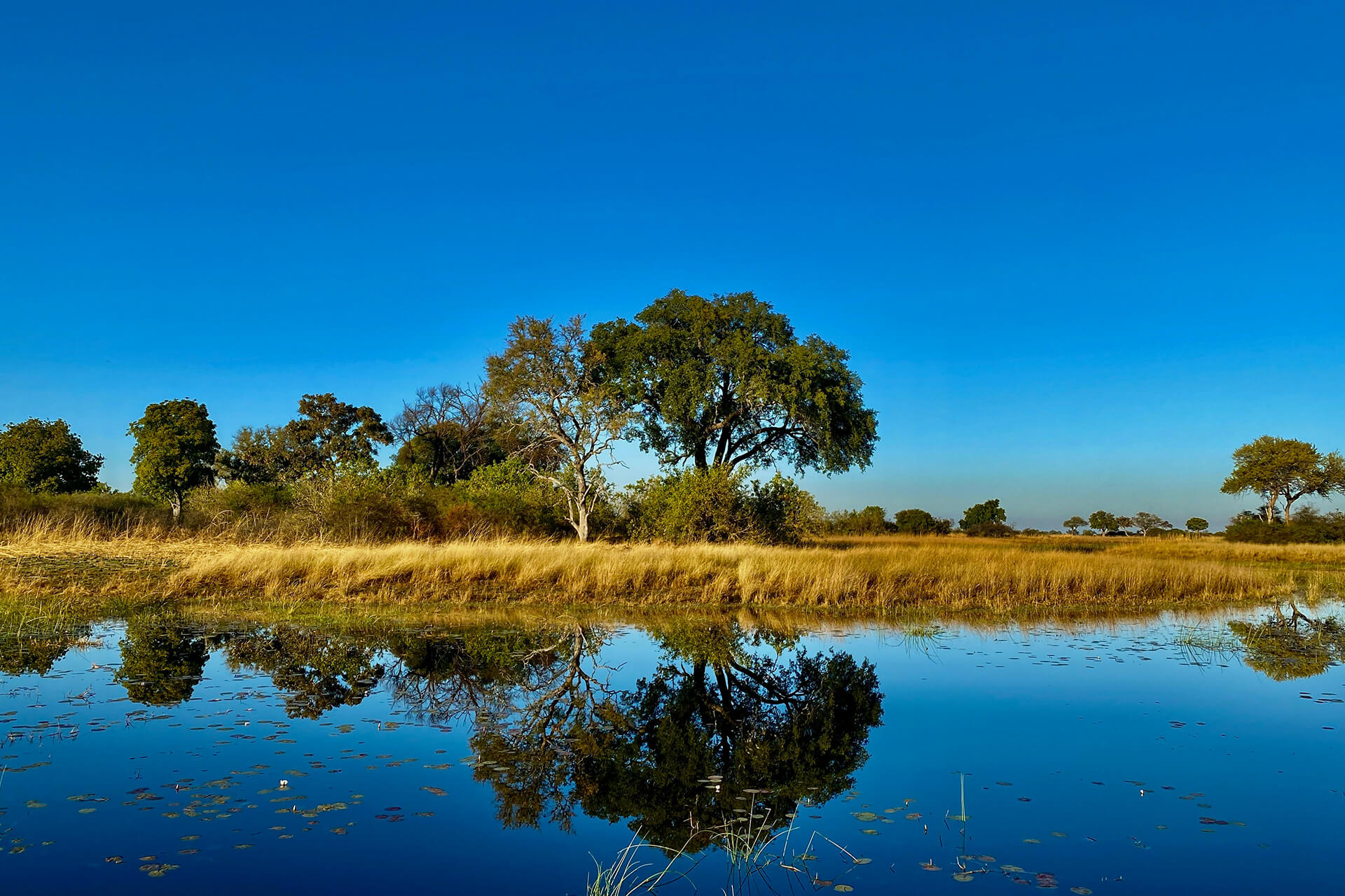 botwana-header-img_0004_05