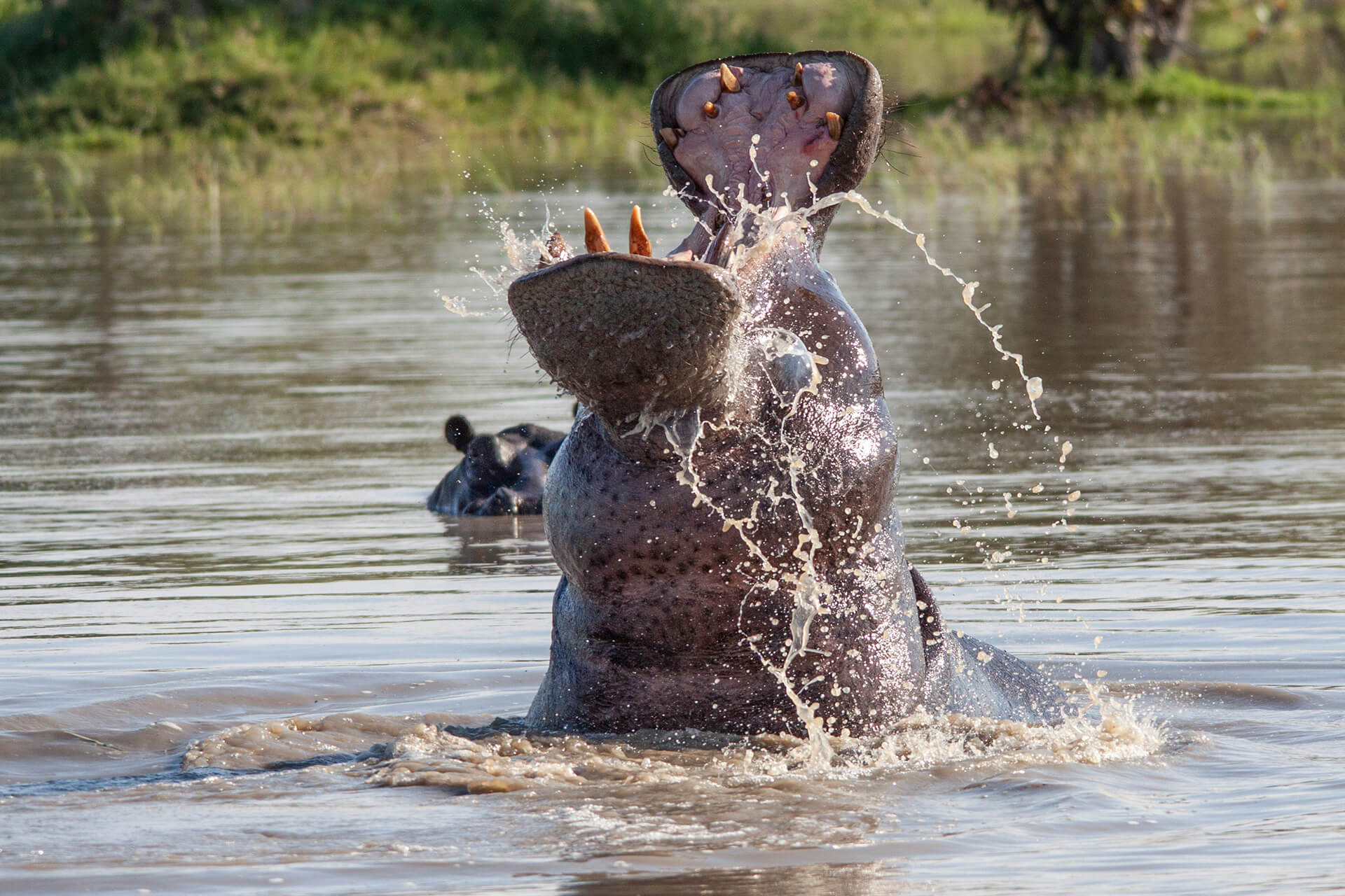 botwana-header-img_0006_07