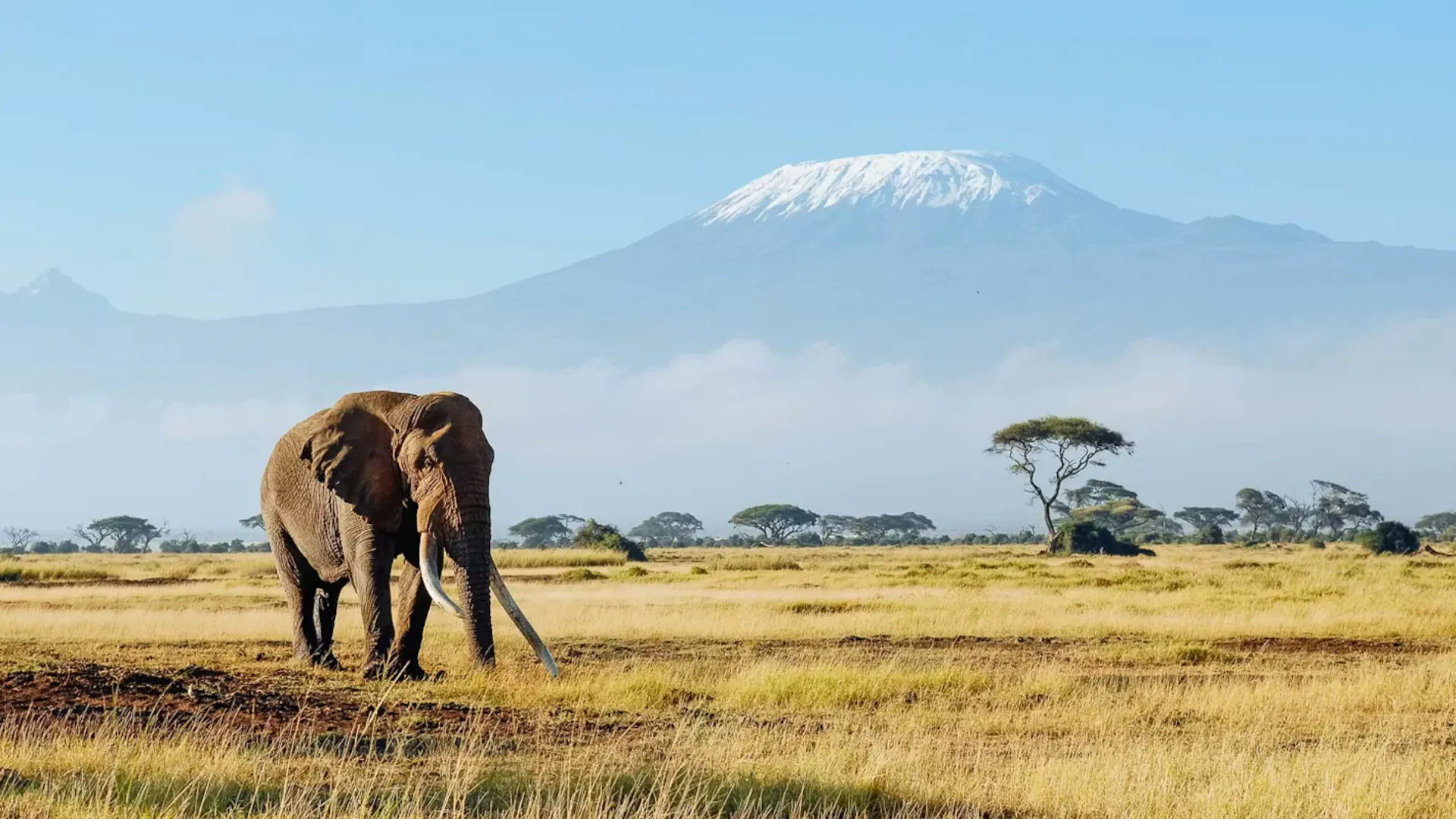 Amboseli Kenya itinerary