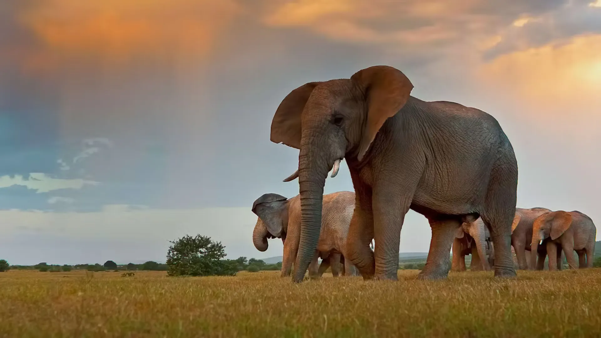 Gorah Elephant Camp south africa itinerary