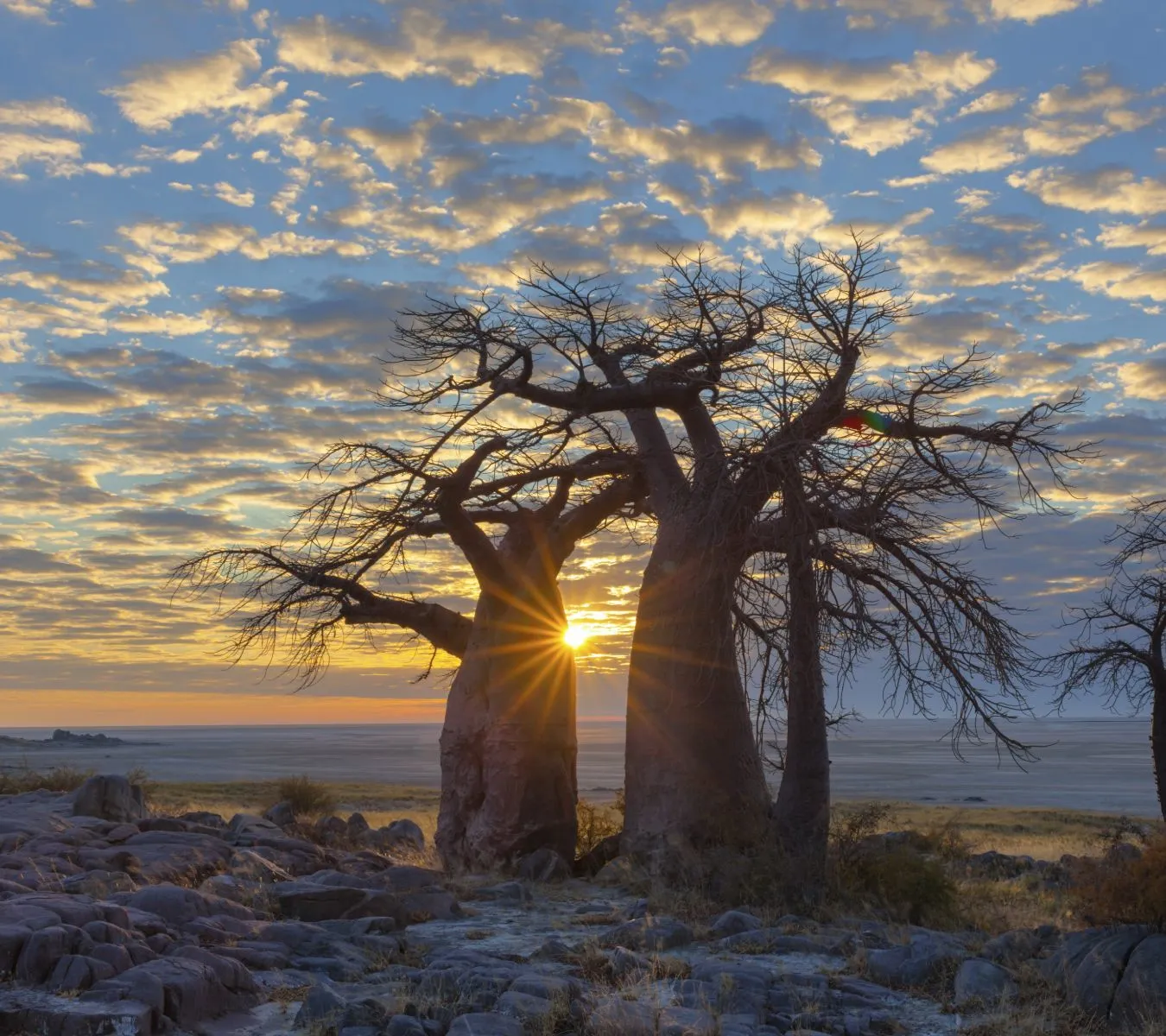 retiree travel to africa sunrise-1920w