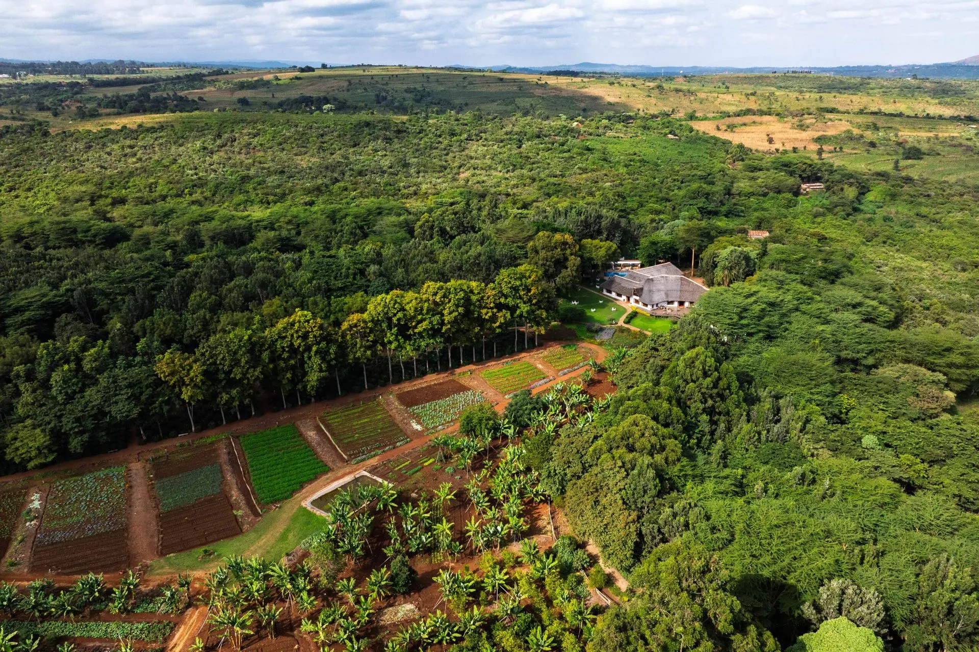 tanzania serengeti retiree travel africa coffee farm-1920w