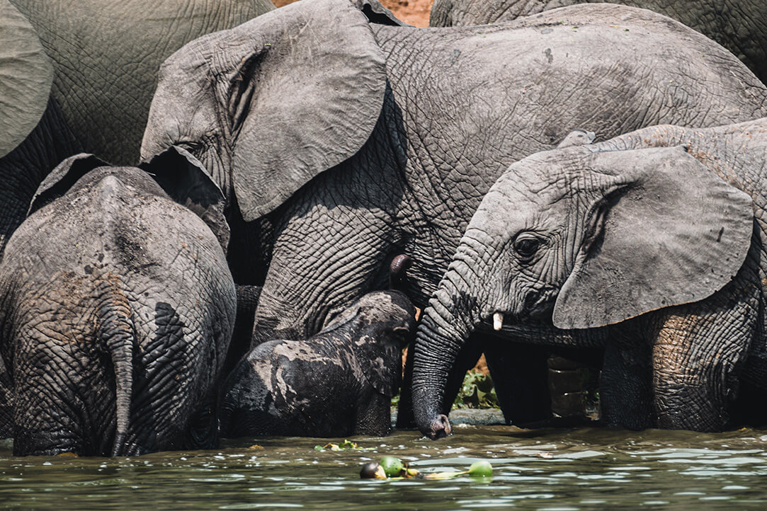 uganda-bestplaces-queenelizabeth-_0000_01