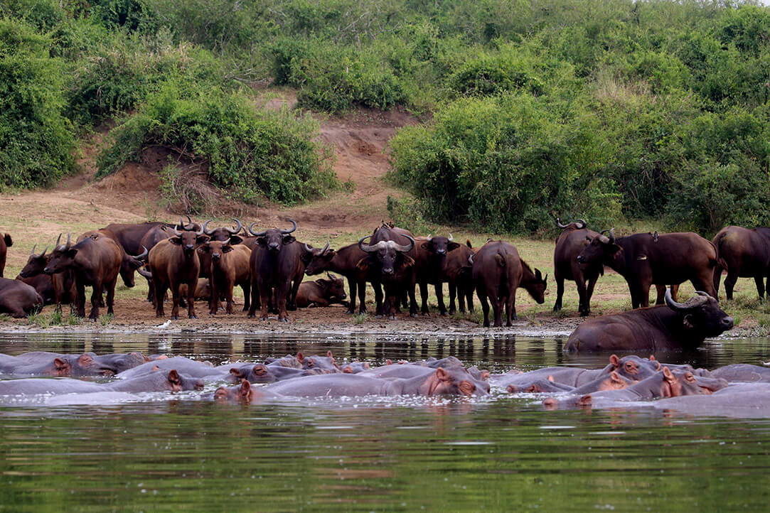 uganda-bestplaces-queenelizabeth-_0001_02