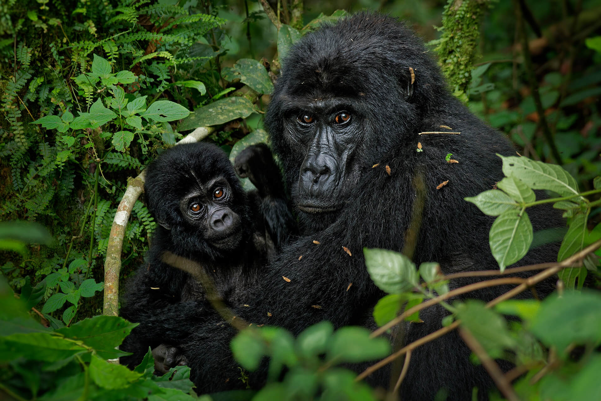 uganda-header-img__0001_02