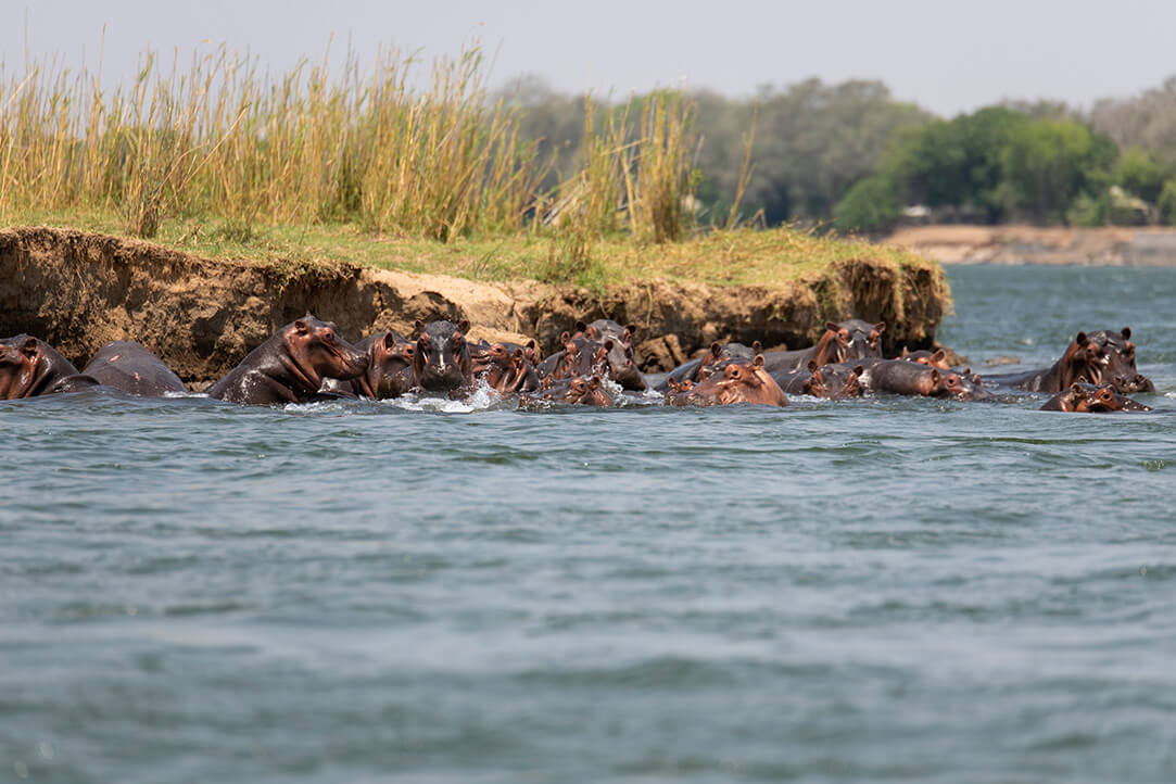 zambia-bestplaces-Zambezi__0001_02