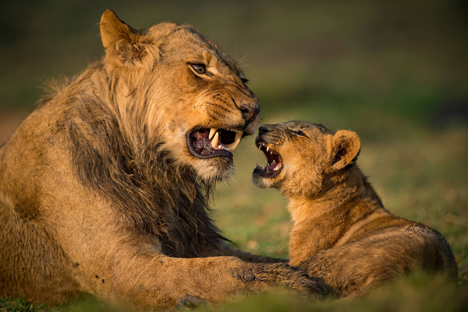 zambia-header-img__0006_07