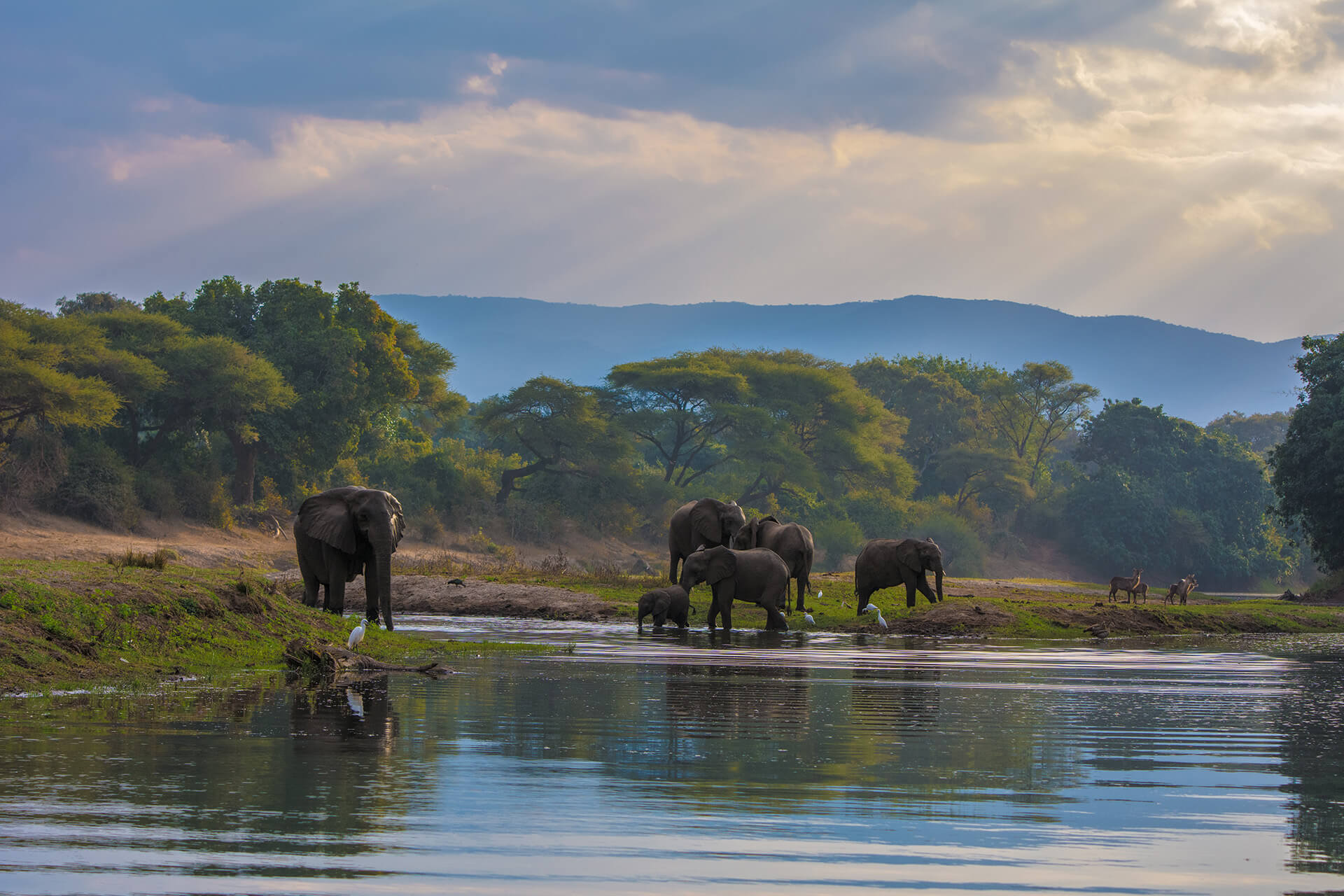 zambia-header-img__0007_08