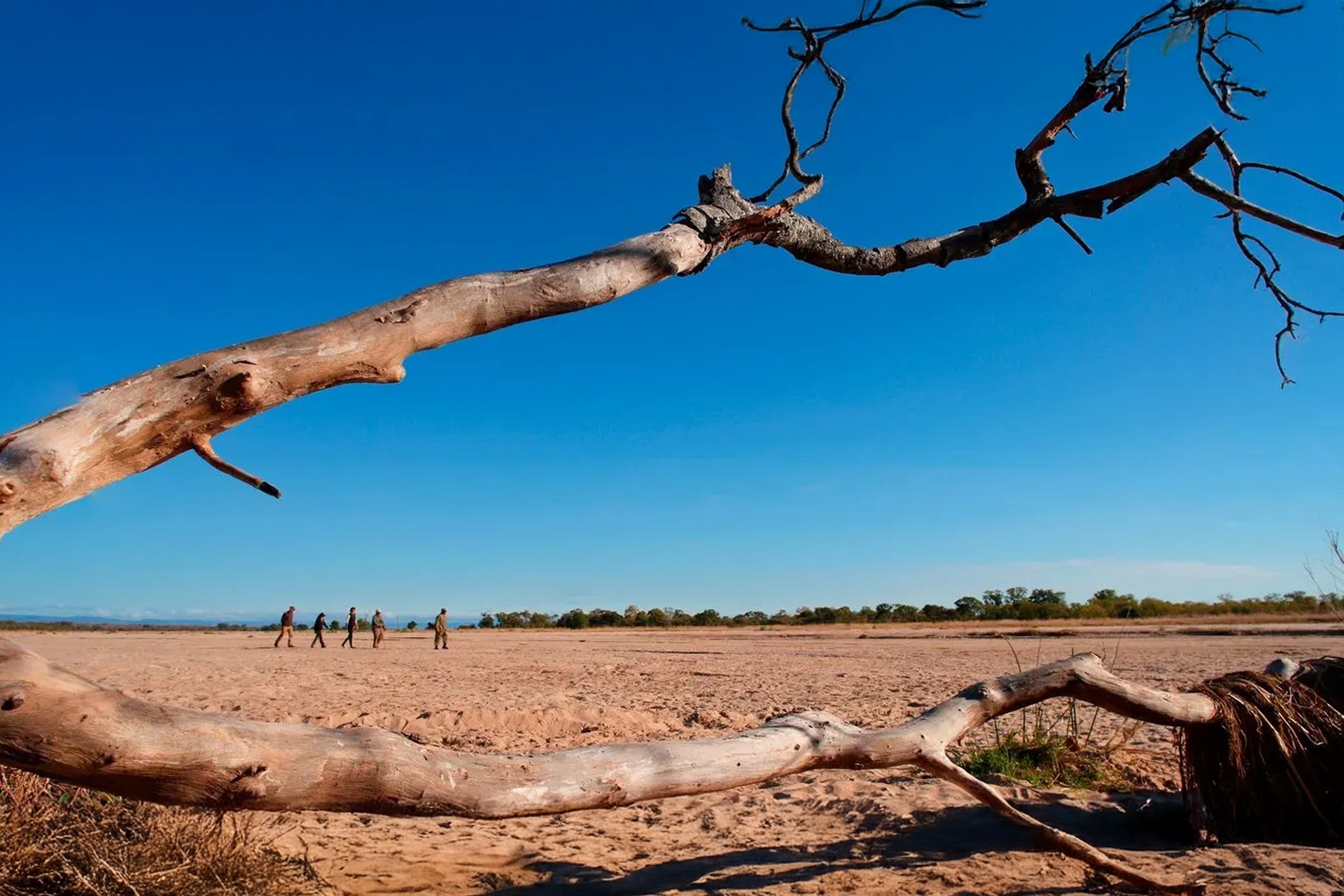 Zambia walking safari