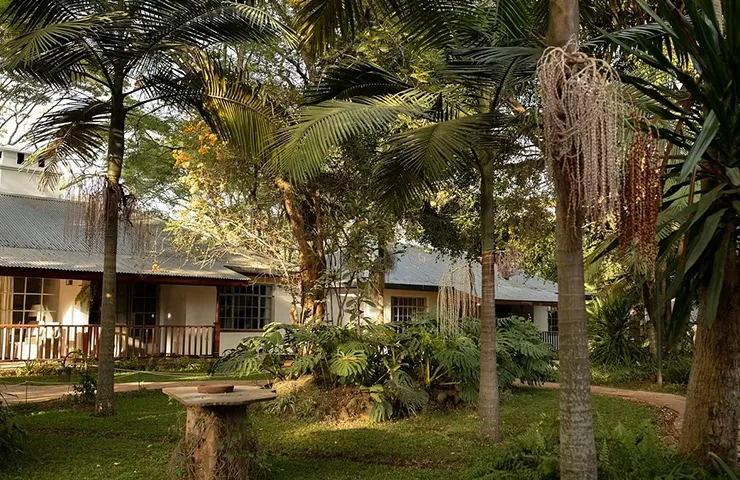 journey-tailormade-12days-elusive-kenya-_0000_1