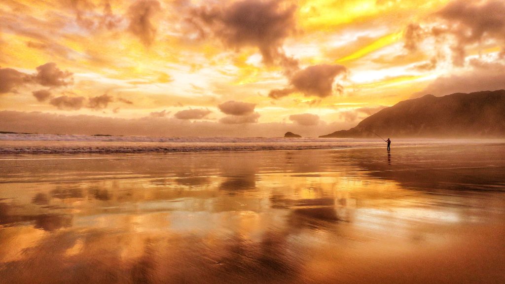 Combine Safari and Beach in Southern Africa