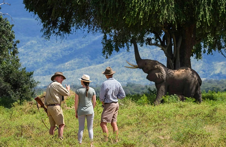 journey-tailormade-8days-mana-pools-_0004_04