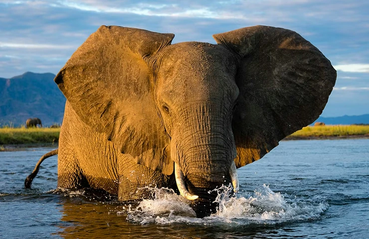 journey-tailormade-8days-mana-pools-_0005_03