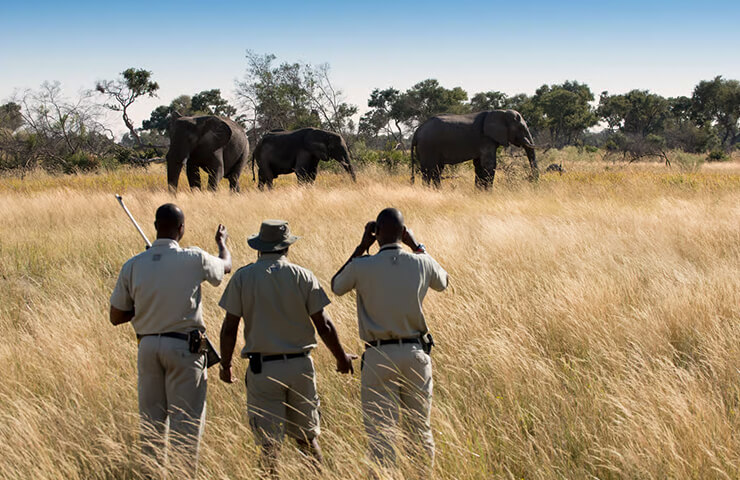 journey-onehit-7day_saltpan_wildlife_0002_06