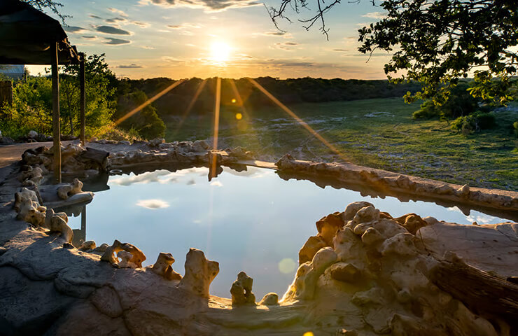 journey-onehit-7day_saltpan_wildlife_0006_02