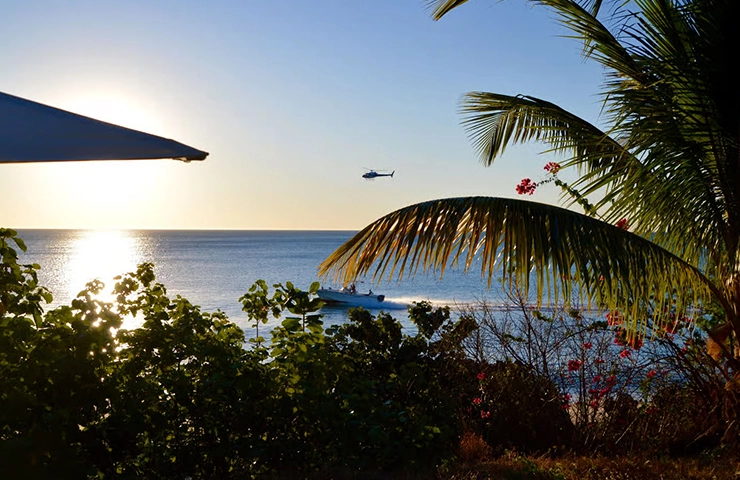 journey-onehit-8day_madagascar_lemurs_boabab__0003_04