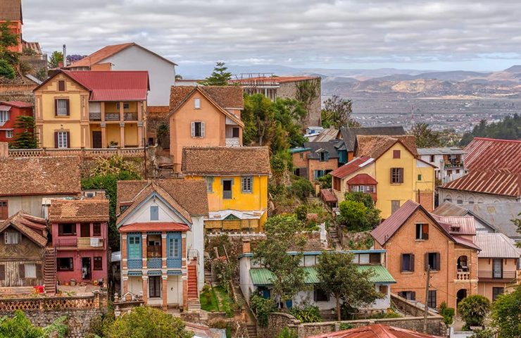 journey-onehit-8day_madagascar_lemurs_boabab__0007_08