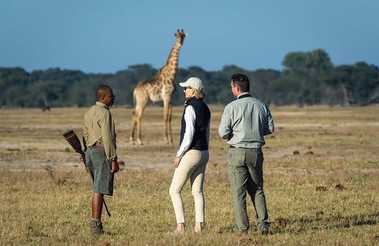 journey-safari-7day-sim-hwange-safari-_0002