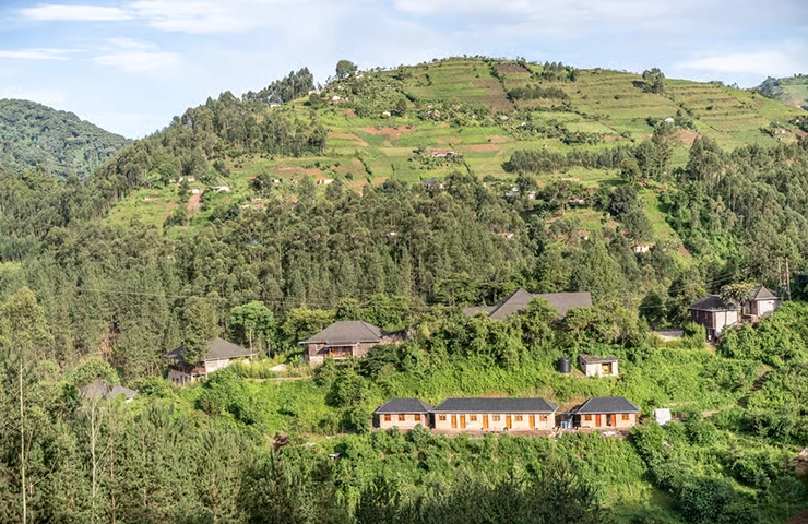 journey-4day-rwanda-gorilla-trek-05