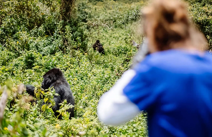journey-8day-rwanda-primates-08