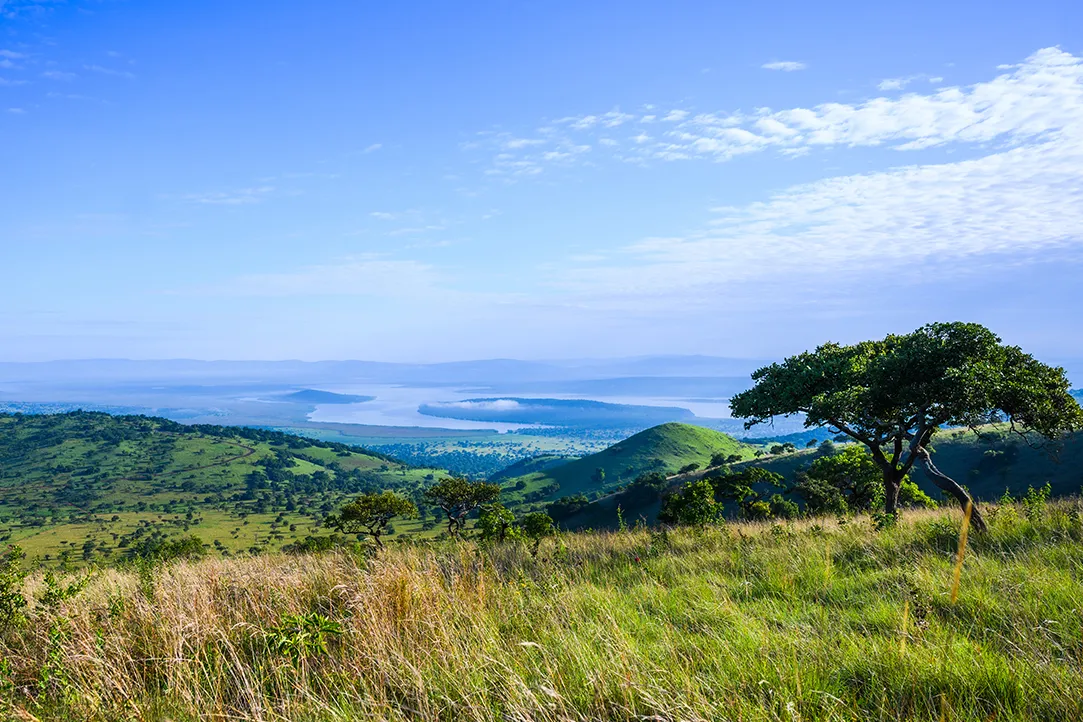 randa-bestplaces-akagera-_0001_02