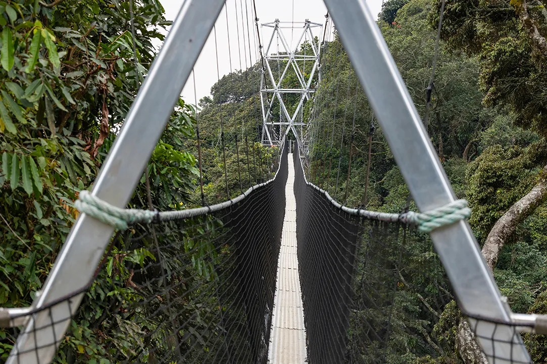 rwanda-bestplaces-nyungwe-_0001_02