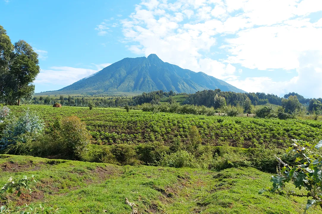 rwanda-bestplaces-volcanoes-_0001_02