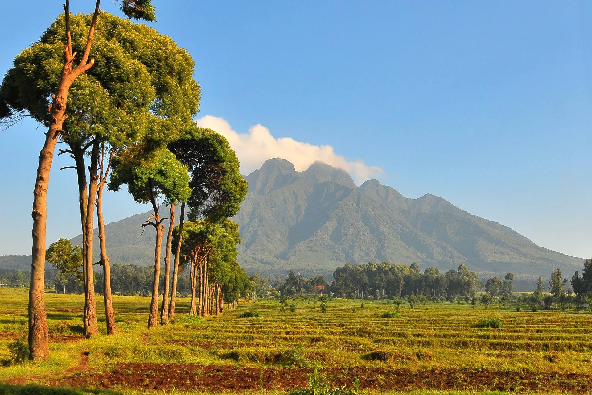 rwanda-header-img-_0001_02