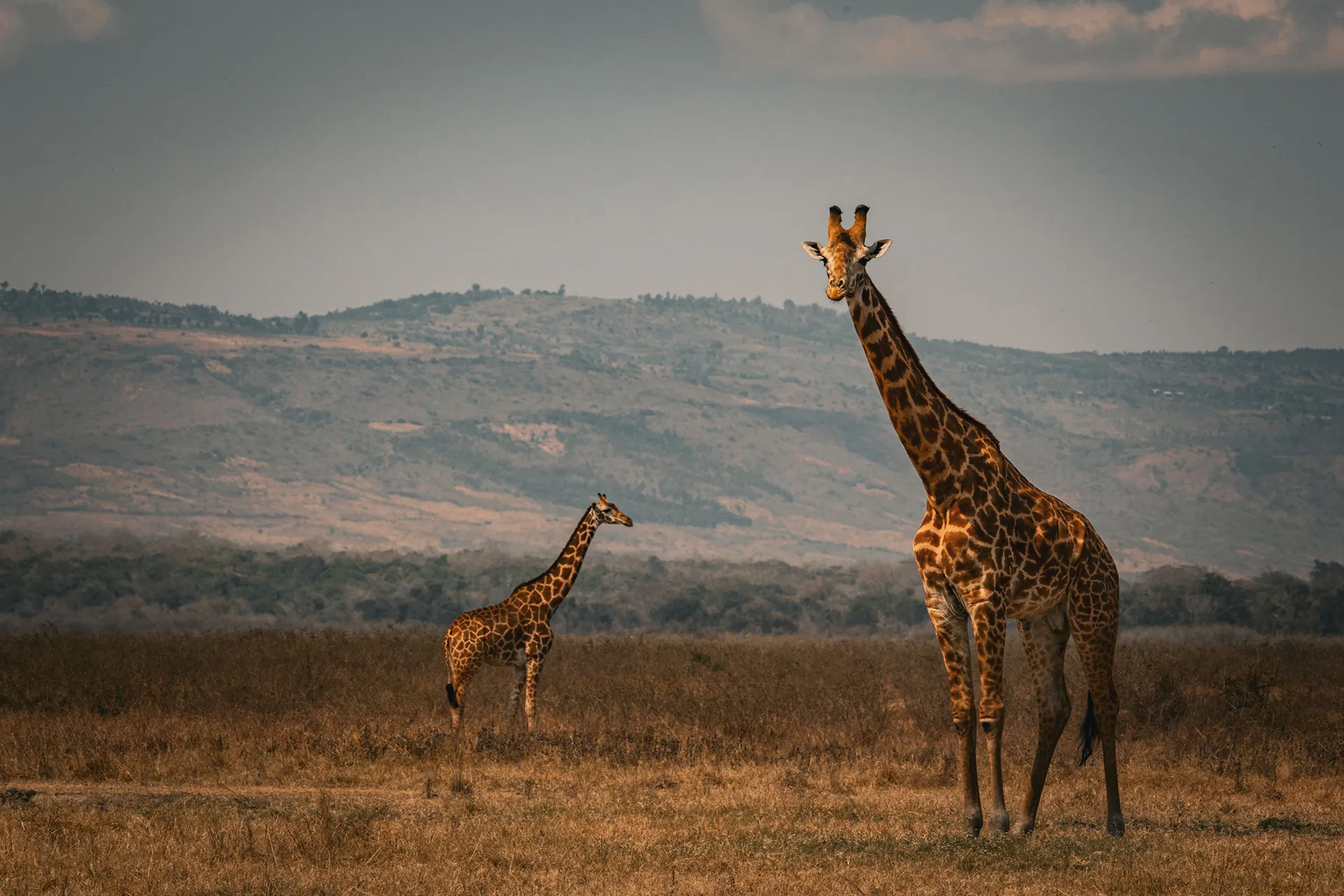 rwanda-header-img-_0002_03