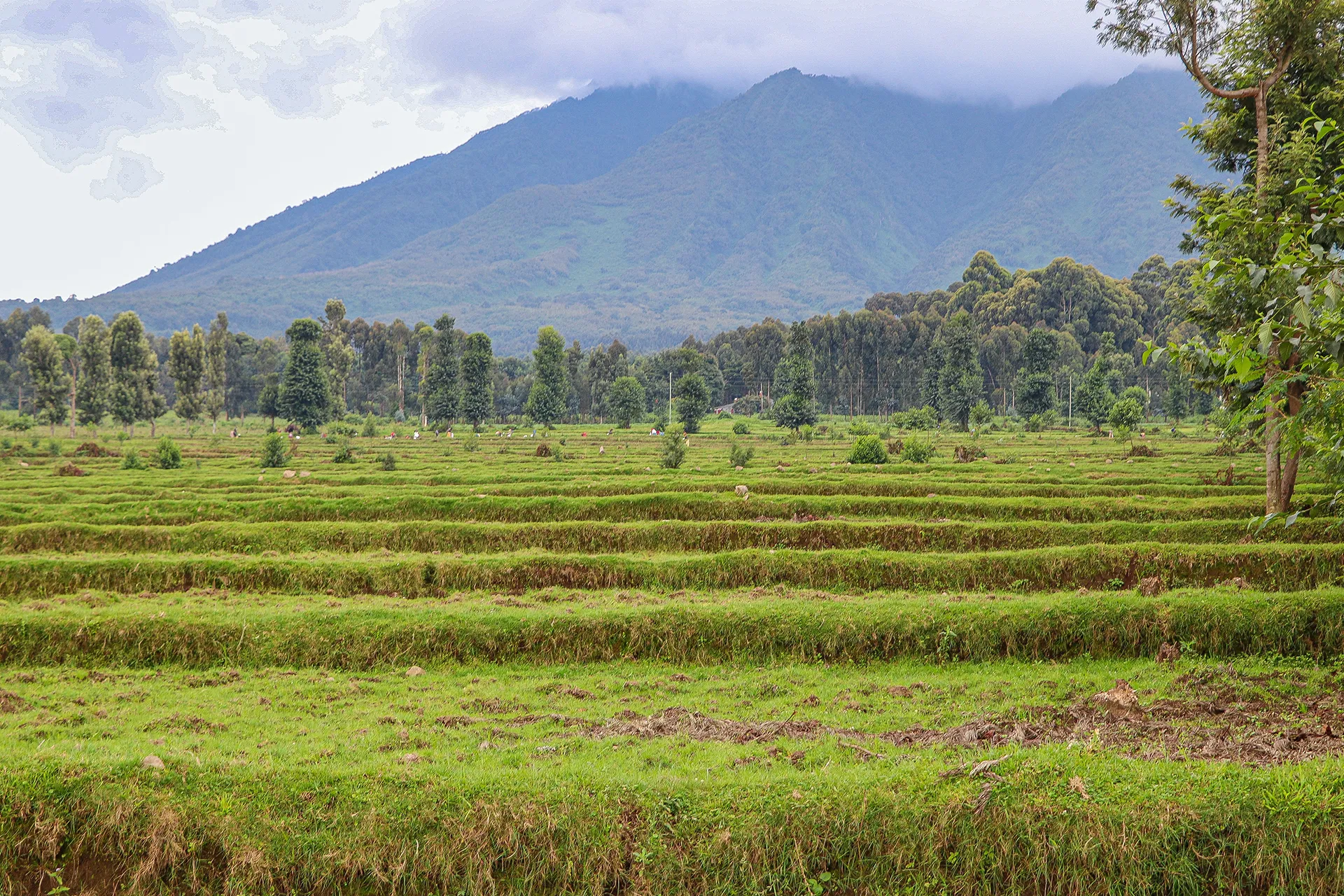 rwanda-header-img-_0003_04