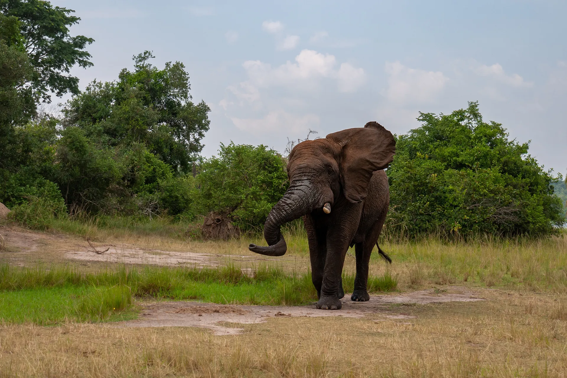 rwanda-header-img-_0005_06