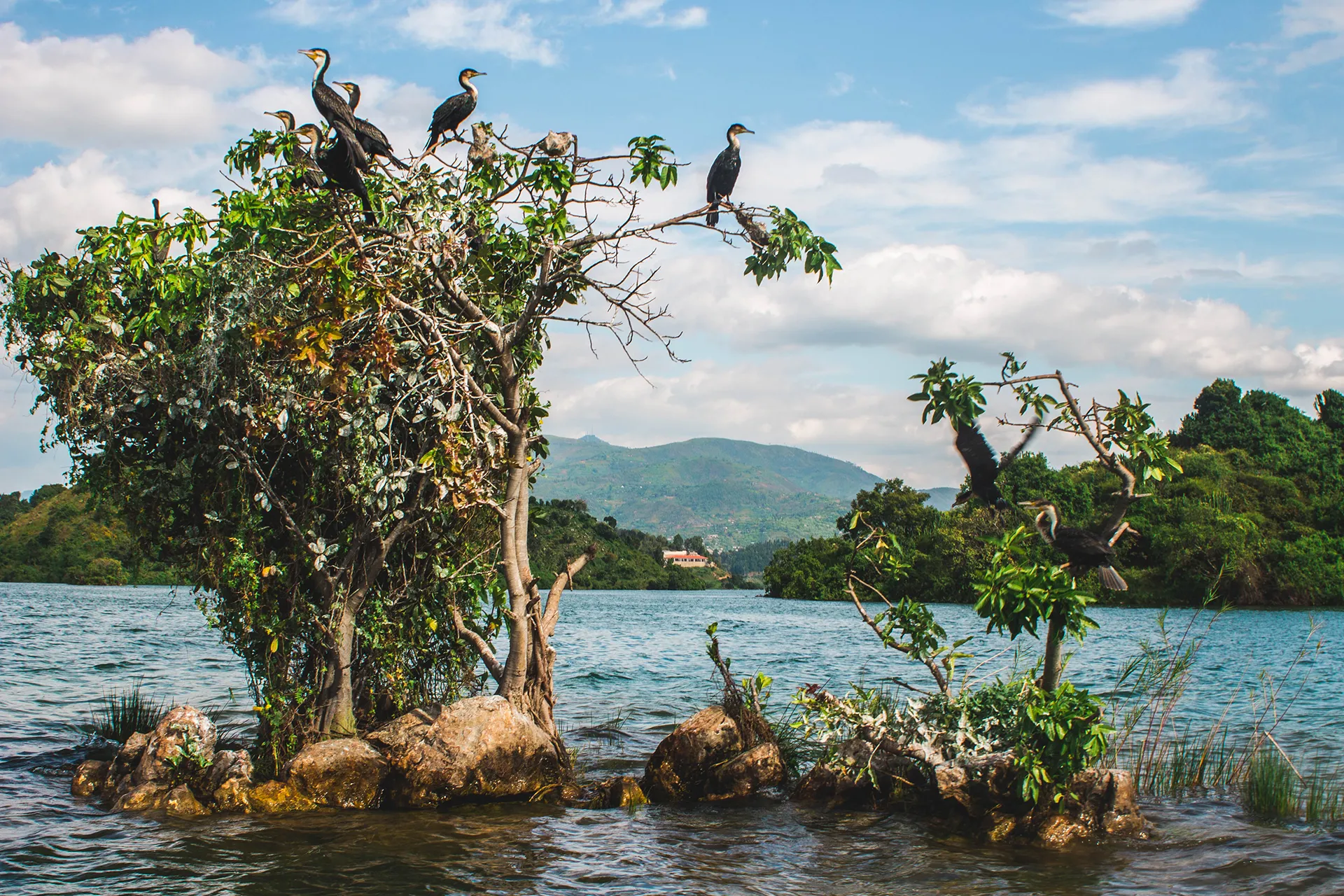 rwanda-header-img-_0009_10