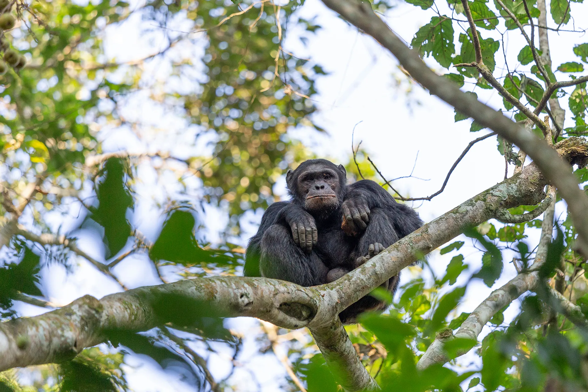rwanda-header-img-_0010_11