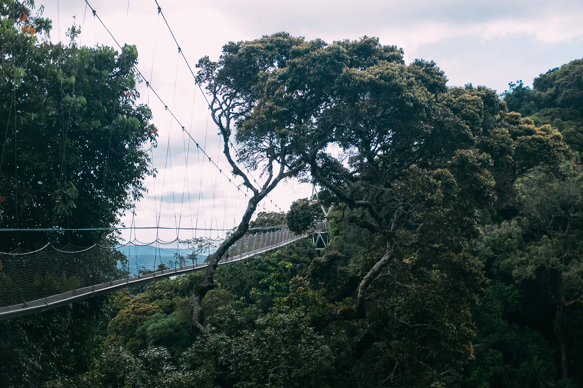 rwanda-header-img-_0011_12