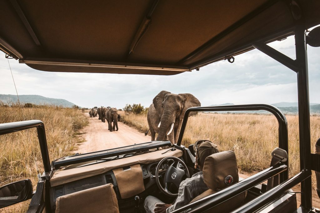 Why the Human Touch Matters More Than Ever in Travel